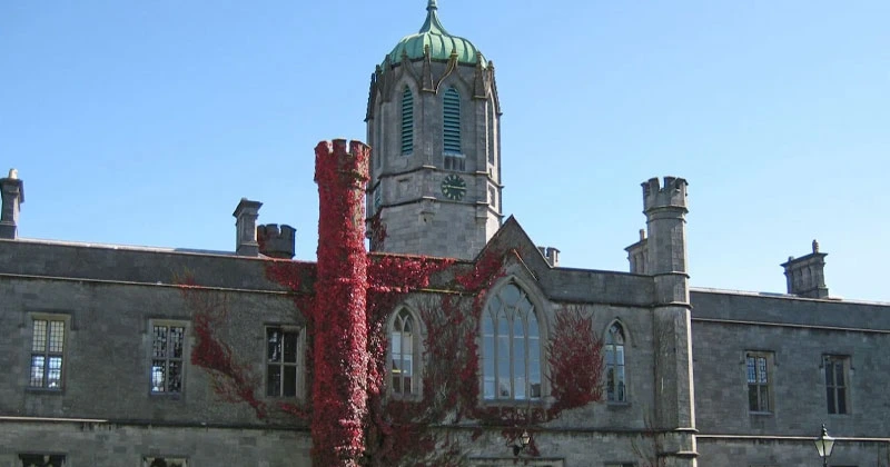 സ്തനാർബുദവുമായി ബന്ധപ്പെട്ട ഗവേഷണം; ഗാൽവേ സർവ്വകലാശാലയ്ക്ക് നാല് മില്യൺ യൂറോയുടെ നിക്ഷേപം galway