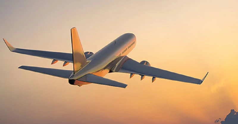 ഹാൻഡ് ലഗേജിന് ഫീസ് ഈടാക്കി; വിമാനക്കമ്പനികൾക്കെതിരെ അന്വേഷണം വേണമെന്ന് ആവശ്യം