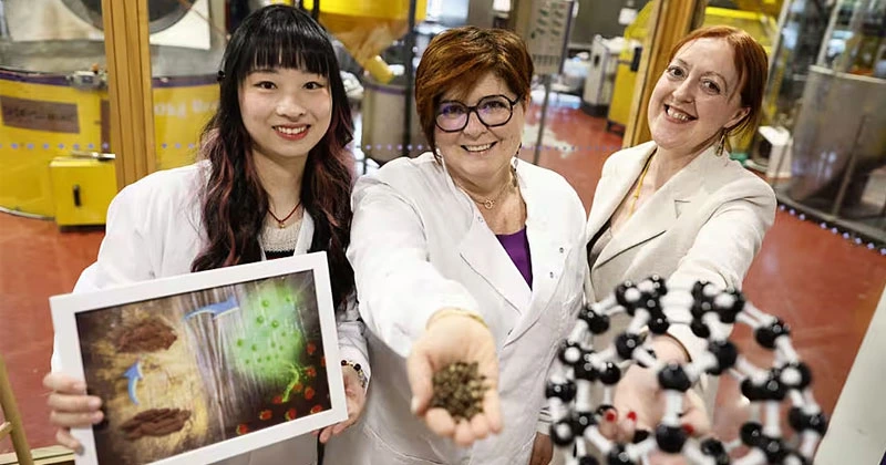 ക്യാൻസർ ചികിത്സയിൽ കാപ്പി പൊടിയ്ക്ക് നിർണായക പങ്ക്; കണ്ടെത്തലുമായി ഡബ്ലിനിലെ ഗവേഷകർ