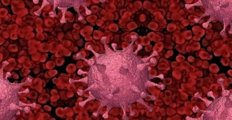 കർണാടകയിൽ കോവിഡ് ബാധിച്ച് ഒരാൾ മരിച്ചു ; സംസ്ഥാനത്ത് 38 കോവിഡ് കേസുകൾ covid 19