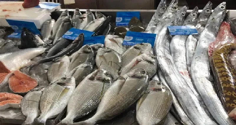 കടൽ മത്സ്യം കഴിക്കുന്നതിന് കുഴപ്പങ്ങളില്ല ; നടക്കുന്നത് വ്യാജപ്രചാരണം : മത്സ്യസദ്യ നടത്തുമെന്ന് സജി ചെറിയാൻ