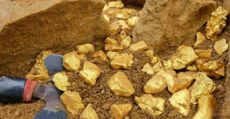 കൃഷിപ്പണിയ്ക്കിറങ്ങി ; കർഷകൻ കണ്ടെത്തിയത് 3000 കോടിയുടെ സ്വർണ്ണനിക്ഷേപം