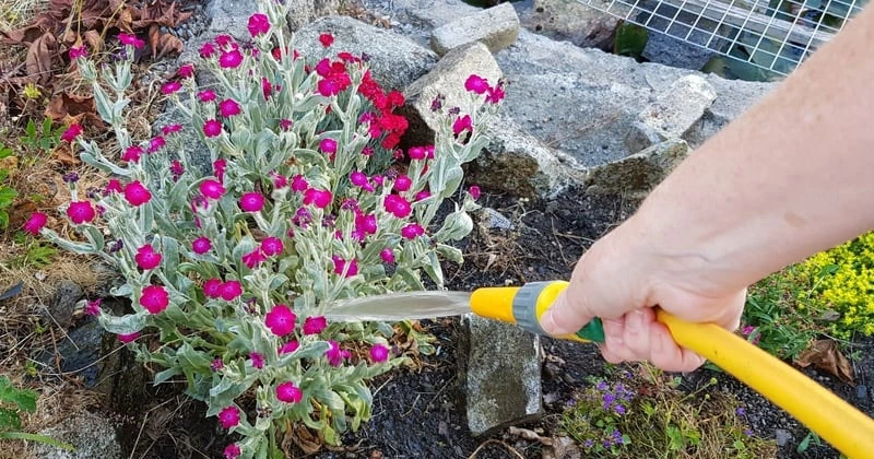 ജലനിരപ്പ് താഴുന്നു; ഹോസ്പൈപ്പ് നിരോധനവുമായി ഉയിസ് ഐറാൻ hosepipe