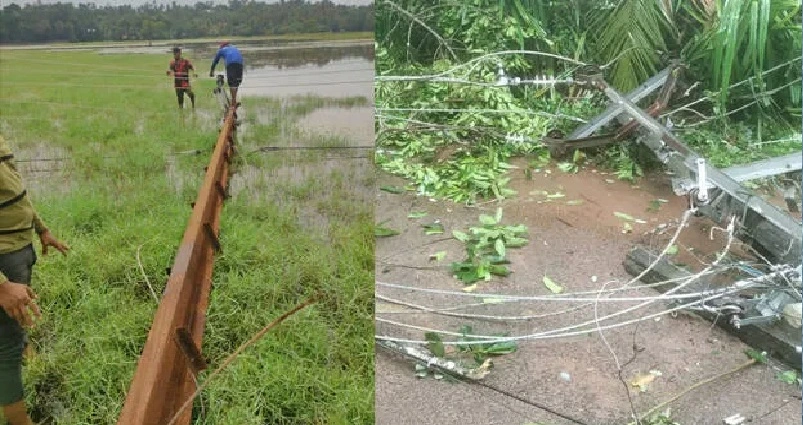 സംസ്ഥാനത്തുടനീളം ശക്തമായ കാറ്റും മഴയും ; കെ.എസ്.ഇ.ബിയ്ക്ക് നഷ്ടം 26 കോടി