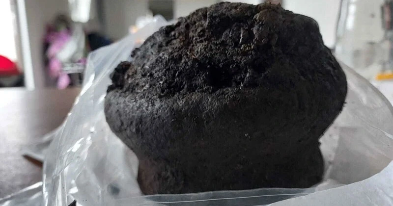 അയർലന്റിൽ പുരാതന റോമൻ കലം കണ്ടെത്തി roman pot