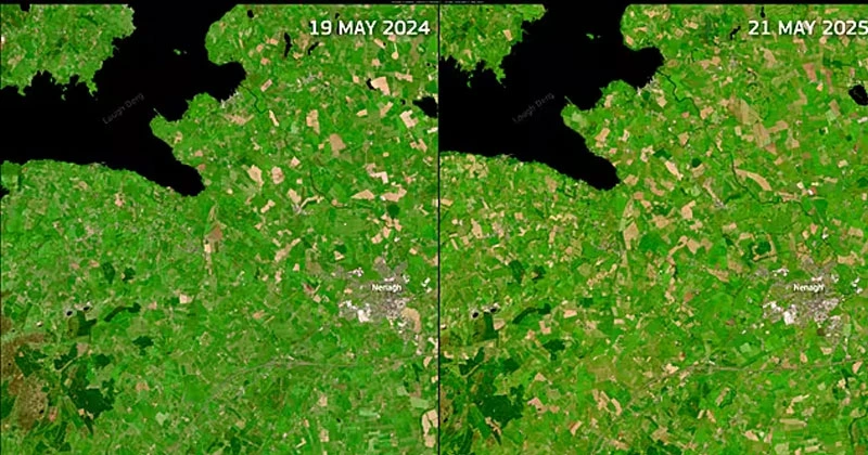 വരണ്ട കാലാവസ്ഥ; ഐറിഷ് ഭൂപ്രകൃതിയിൽ മാറ്റം; സാറ്റ്ലൈറ്റ് ചിത്രങ്ങൾ പുറത്ത് satelite pics