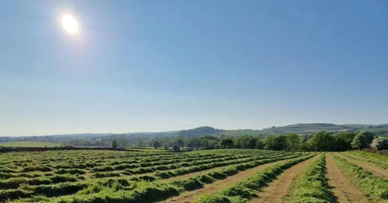20 ഡിഗ്രിവരെ താപനില രേഖപ്പെടുത്തും; അയർലന്റിന് ഇന്നും ചൂടേറിയ ദിനം; ഒറ്റപ്പെട്ട മഴയ്ക്കും സാദ്ധ്യത hot weather
