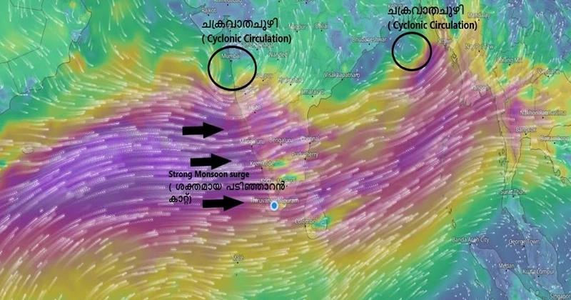 ഇരട്ട ചക്രവാതച്ചുഴി; 4 ദിവസം വ്യാപകമായ മഴയ്ക്ക് സാധ്യത; 11 ജില്ലകളിൽ അവധി Weather