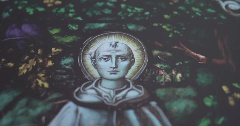 സെന്റ് കോൾസിലിനോടുള്ള ആദരസൂചകമായി പുതിയ പൊതു അവധിക്ക് വേണം; ആവശ്യവുമായി ഡൊണഗൽ കൗണ്ടി കൗൺസിൽ St Colmcille