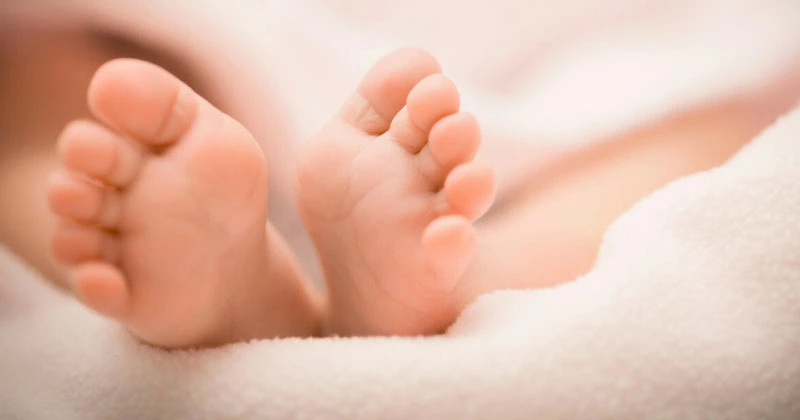 നവജാത ശിശുക്കൾക്ക് ഗ്രാന്റ്; ഗുണഭോക്താക്കളായത് 20,000 കുടുംബങ്ങൾ baby