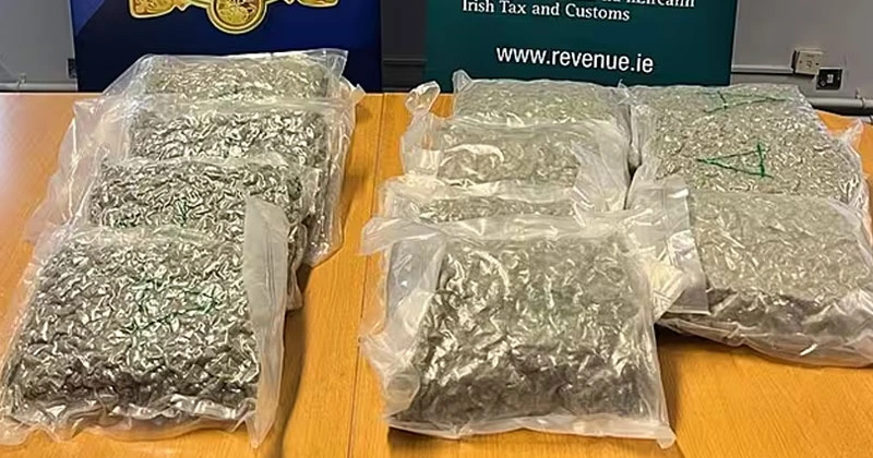 ഡബ്ലിനിൽ ലഹരി വേട്ട; 12 കിലോ കഞ്ചാവ് പിടിച്ചെടുത്തു cannabis