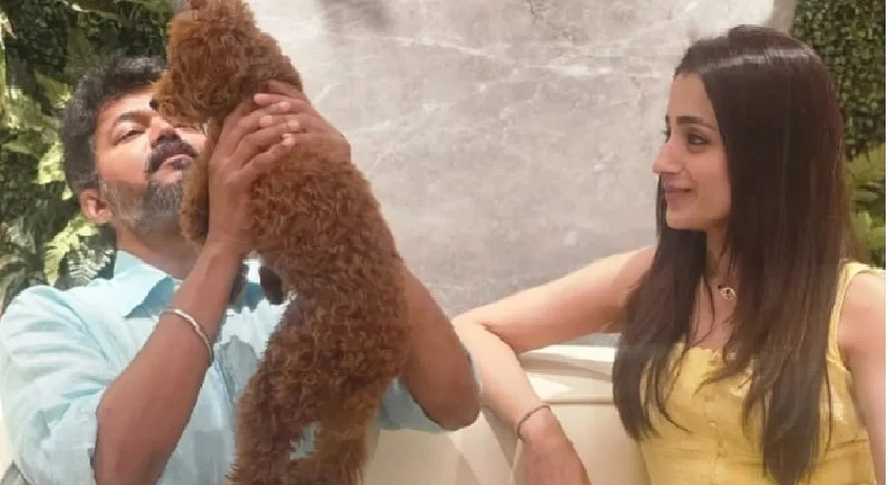 വളർത്തു നായയെ ലാളിച്ച് വിജയ് , ഒപ്പം തൃഷയും : വീണ്ടും വൈറലായി പ്രണയവാർത്തകൾ