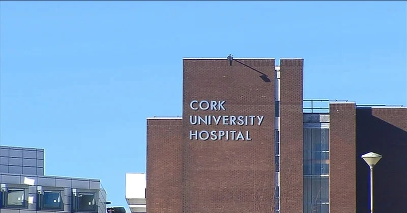 കോർക്കിൽ നായയുടെ ആക്രമണത്തിൽ യുവതിയ്ക്ക് പരിക്ക് cork universty hospital