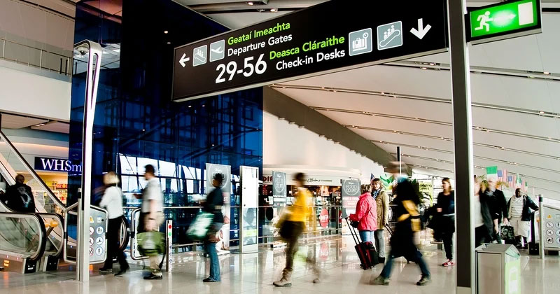 ഡബ്ലിൻ വിമാനത്താവളത്തിൽ ശല്യക്കാരായി പക്ഷികളും മുയലുകളും dublin aiport