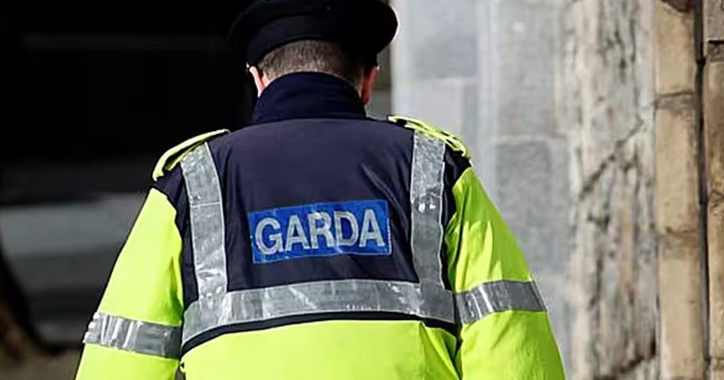 അർദ്ധ നഗ്നനായി മർദ്ദിച്ചു; അയർലന്റിൽ ഇന്ത്യക്കാരന് നേരെ ആക്രമണം police