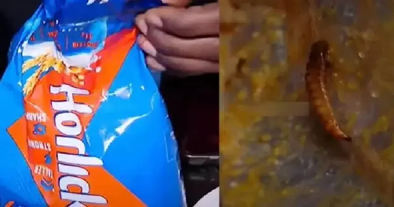 ഹോർലിക്സിൽ പുഴുവിനെ കണ്ടെത്തി ; കുടിച്ച കുട്ടികൾക്ക് ആരോഗ്യപ്രശ്നങ്ങൾ