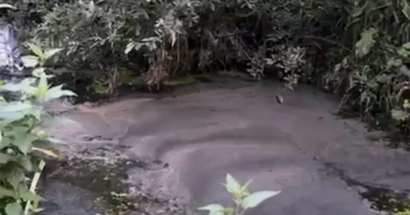 സൗത്ത് ഡബ്ലിനിലെ ഓയിൽ ചോർച്ച; സഹായവുമായി ബാങ്ക് ഓഫ് അയർലന്റ് oil spill