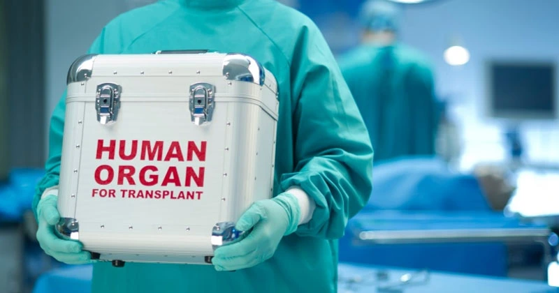 ഹ്യൂമൻ ടിഷ്യു ആക്ട്; ഓപ്റ്റ് ഔട്ട് രജിസ്റ്ററിൽ പേര് ചേർക്കുന്നത് മണിക്കൂറിൽ ശരാശരി 155 പേർ organ transplant