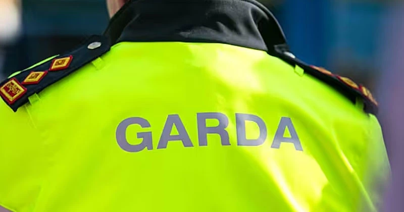 ഡബ്ലിനിൽ ആക്രമണം; യുവാവിന് പരിക്ക്; പ്രതി അറസ്റ്റിൽ police