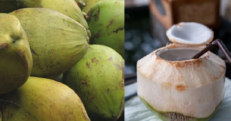 സ്ഥിരമായി കരിക്കിൻ വെള്ളം കുടിക്കുന്നവരാണോ , എങ്കിൽ ഇതറിഞ്ഞോളൂ