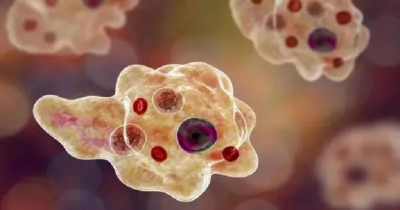 അമീബിക് എൻസെഫലൈറ്റിസ് ബാധിച്ച് ഒരാൾ കൂടി മരിച്ചു ; എല്ലാ ദിവസവും കുറഞ്ഞത് ഒരാൾക്കെങ്കിലും രോഗം സ്ഥിരീകരിക്കുന്നുവെന്ന് ഡോക്ടർമാർ