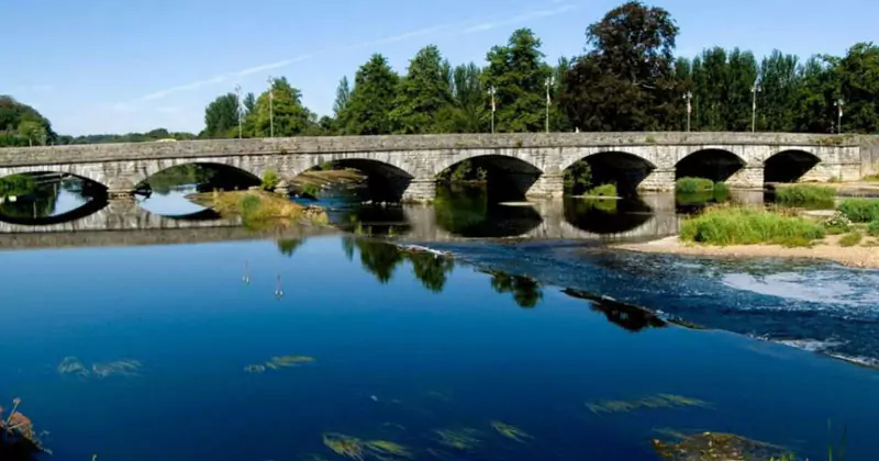 മീനുകൾ ചത്ത് പൊന്തിയ സംഭവം; ആശങ്കപ്പെടേണ്ട സാഹചര്യമില്ല black water