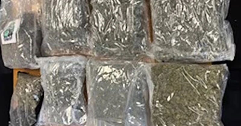 വെക്സ്ഫോർഡിൽ കഞ്ചാവ് പിടികൂടി cannabis