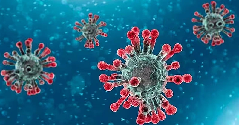 അയർലൻഡിൽ കോവിഡ് 19 വ്യാപനം രൂക്ഷം; ഈ ലക്ഷണങ്ങൾ ശ്രദ്ധിക്കണമെന്ന് മുന്നറിയിപ്പ് covid virus