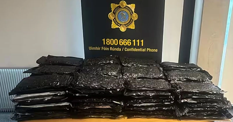 ഡബ്ലിനിൽ ലഹരിവേട്ട; രണ്ട് പേർ അറസ്റ്റിൽ drugs