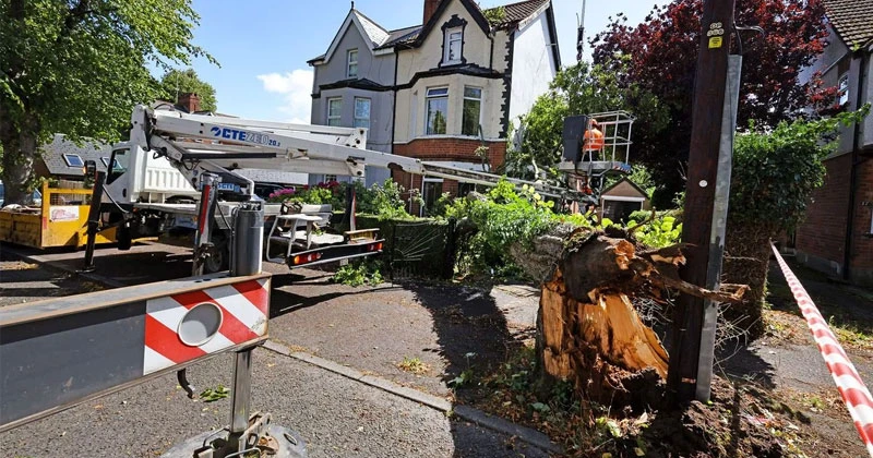 ഫ്ളോറിസ് ചുഴലിക്കാറ്റ്; ബെൽഫാസ്റ്റിൽ വീടിന് മുകളിലേക്ക് മരം വീണു