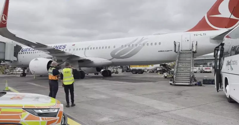 പുതുജീവിതത്തിലേക്ക് പറന്നിറങ്ങി ഗാസയിലെ കുരുന്നുകൾ; ആദ്യ സംഘം അയർലൻഡിൽ gaza children