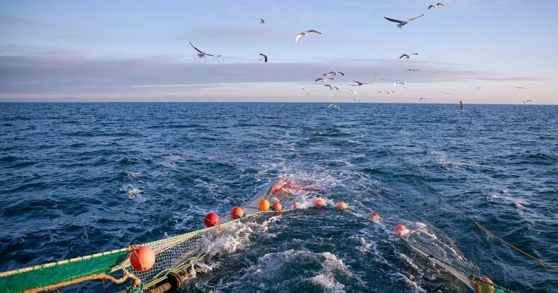 വാട്ടർഫോർഡ് കടൽ തീരത്ത് അജ്ഞാത മൃതദേഹം കണ്ടെത്തി waterford