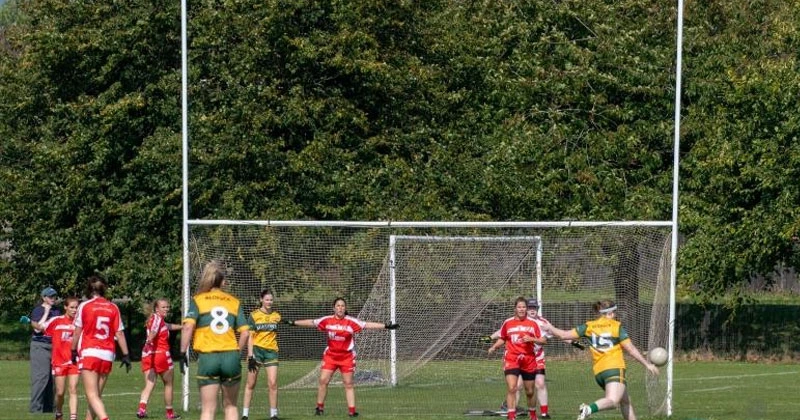 വനിതാ കമോഗി താരങ്ങൾക്ക് മൂത്രം പോകുന്ന അവസ്ഥ; നിർണായക കണ്ടെത്തൽ woman playes