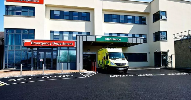 സൈക്കിളിൽ കാറിടിച്ചു; 20 കാരന് ദാരുണാന്ത്യം carlow