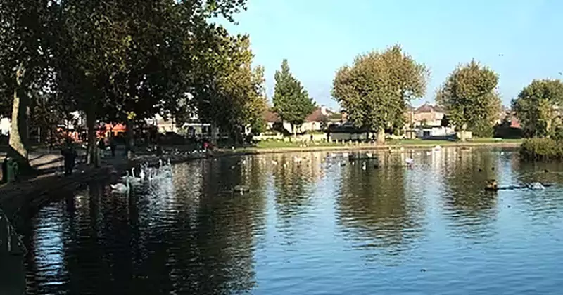 കോർക്കിൽ പക്ഷിപ്പനി സ്ഥിരീകരിച്ചു ; ജാഗ്രതാ നിർദ്ദേശം cork bird flue