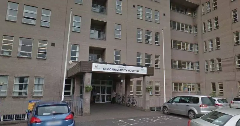 തേൻ ശേഖരിക്കുന്നതിനിടെ തേനീച്ച ആക്രമണം; 70 കാരി മരിച്ചു sligo hospital