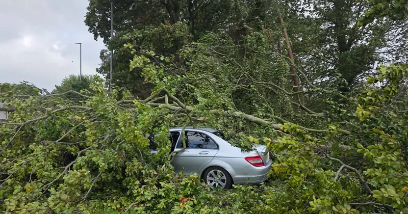 ആമി ചുഴലിക്കാറ്റ്; അയർലൻഡിൽ ഇന്നും മഴ amy wind