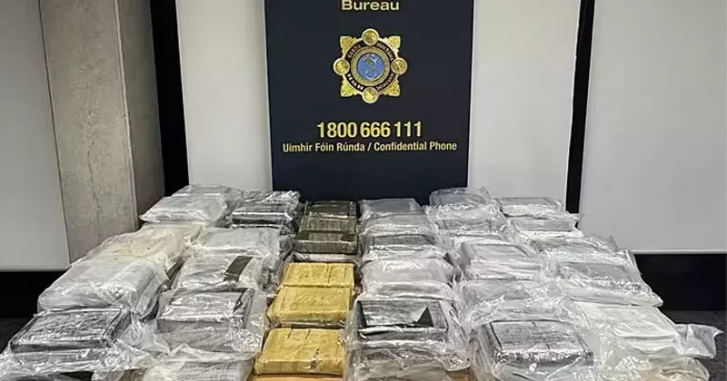 ലാവോയിസിൽ 116 കിലോ കൊക്കെയ്ൻ പിടിച്ചെടുത്തു; 30 കാരൻ അറസ്റ്റിൽ drugs