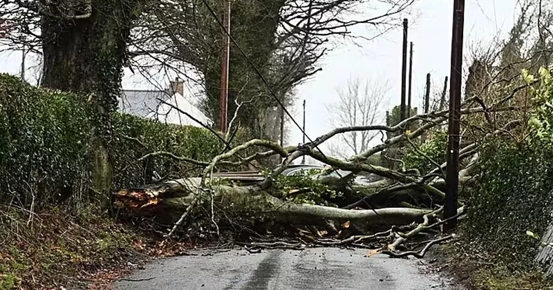 സ്കൂളുകൾ അടച്ചിട്ടത് അറിഞ്ഞില്ല; പുതിയ സംവിധാനം ആവശ്യമെന്ന് വിദ്യാഭ്യാസ വകുപ്പ് Éowyn