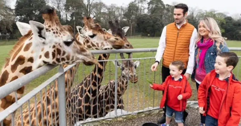 പക്ഷിപ്പനിബാധ; ഫോട്ട വൈൽഡ്ലൈഫ് പാർക്ക് ഇന്നും അടച്ചിടും fotaeildlife