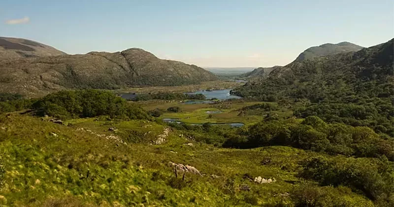 18 മാസത്തിനിടെ 34 ആക്രമണം; നാഷണൽ പാർക്കുകളിൽ നാശനഷ്ടങ്ങൾ national park