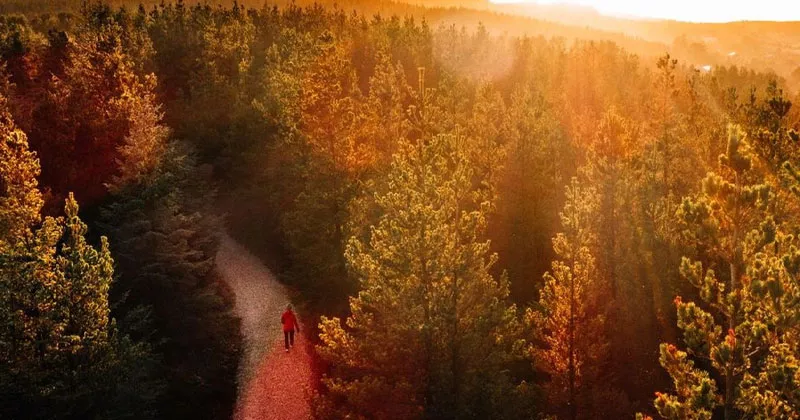 സ്ഥിരതയുള്ള കാലാവസ്ഥ തുടരും; അടുത്ത ആഴ്ചയ്ക്ക് ശേഷം മഴ sunshine