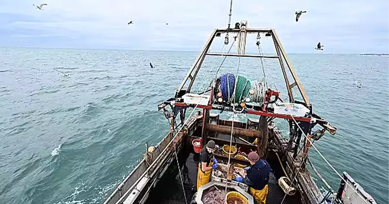 വലിയ ട്രോളറുകൾക്ക് നിയന്ത്രണം; അയർലൻഡിൽ പുതിയ മത്സ്യബന്ധന നിയമങ്ങൾ trawlers