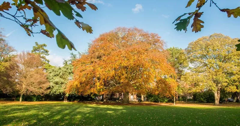 ഉയർന്ന മർദ്ദത്തിന്റെ സ്വാധീനം; അയർലൻഡിൽ സ്ഥിരതയുള്ള കാലാവസ്ഥ തുടരും weather report