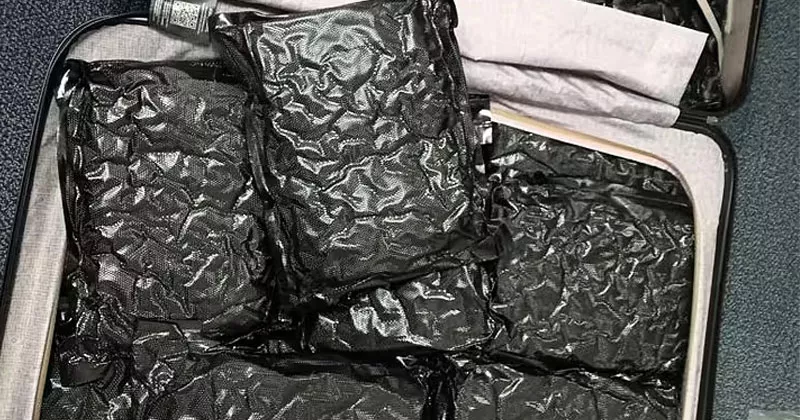 ഷാനൻ വിമാനത്താവളം വഴി കഞ്ചാവ് കടത്ത്; യുവാവ് അറസ്റ്റിൽ cannabis