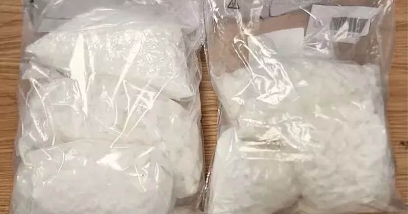 കിൽഡെയറിൽ വൻ ലഹരി വേട്ട; 5 ലക്ഷം യൂറോയുടെ കെറ്റമീൻ പിടികൂടി coccine