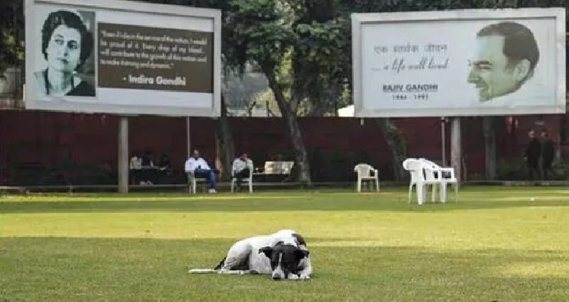 കാലിക്കസേരകൾ മാത്രം : ആളും ആരവവുമില്ലാതെ കോൺഗ്രസ് ഓഫീസ്