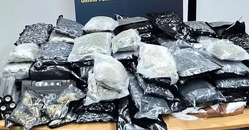 രണ്ടിടങ്ങളിൽ പരിശോധന; വൻ ലഹരിശേഖരം പിടികൂടി drugs