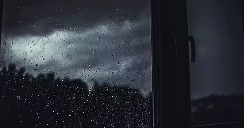 ആഞ്ഞ് വീശി ക്ലോഡിയ; വൈദ്യുതിയില്ലാതെ നൂറ് കണക്കിന് വീടുകൾ rain