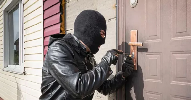 ഡബ്ലിൻ നഗരത്തിലെ മോഷണം; 29 പേർ അറസ്റ്റിൽ theft